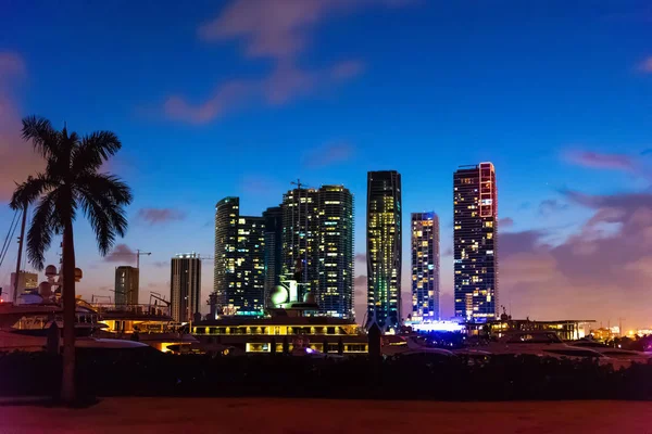 Παλάμες και ουρανοξύστες στο Μαϊάμι τη νύχτα — Φωτογραφία Αρχείου