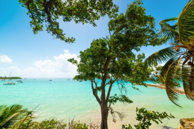 Guadeloupe La Datcha plajda berrak su