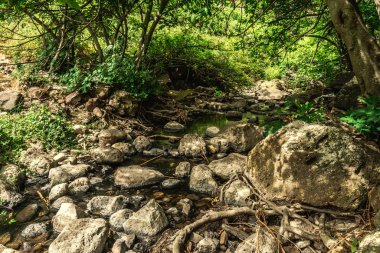 Triulintas şelalesinin yanındaki küçük dere