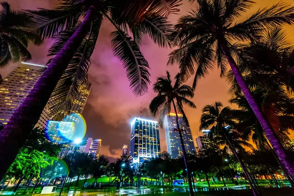 Felhőkarcolók és pálmafák a Miami Bayfront parkban — Stock Fotó