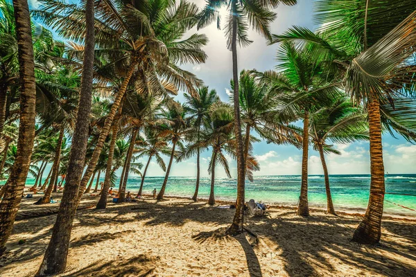 Παραλία Bois Jolan στη Γουαδελούπη — Φωτογραφία Αρχείου