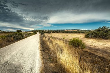Sardunya bir ülkede yol üzerinde bulutlar