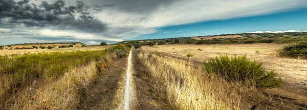 Panoramiczny widok ścieżki brudu pod zachmurzonym niebem — Zdjęcie stockowe