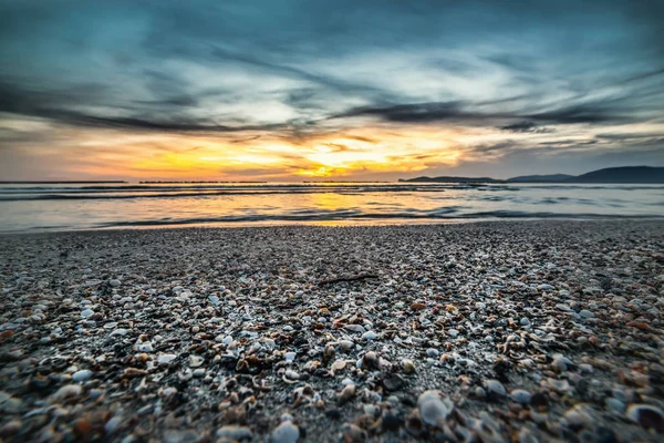 Oblázky a mušle na pobřeží Alghero při západu slunce — Stock fotografie