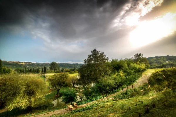 Montepulciano campagna sotto il cielo gradevole al tramonto — Foto Stock