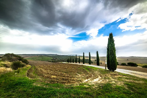Ciprestes por uma estrada rural na Toscana — Fotografia de Stock