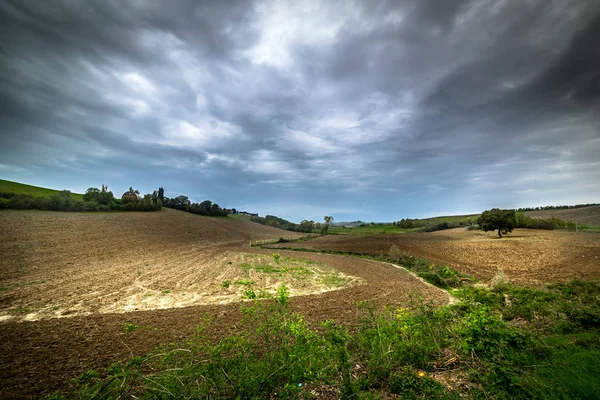 Céu cinzento sobre um campo castanho na Toscana — Fotografia de Stock