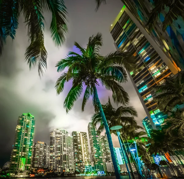 Pálmafák Felhőkarcolók Miamiban Florida Egyesült Államok — Stock Fotó