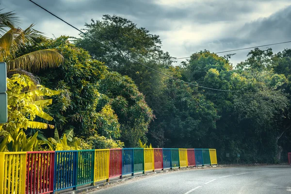 Bunte Brüstung Rand Einer Landstraße Guadeloupe Französisch Westindien Kleine Antillen — Stockfoto