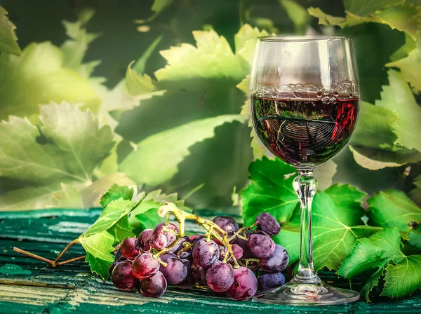 Glas Rött Vin Med Druvor Och Blad Ett Träbord — Stockfoto