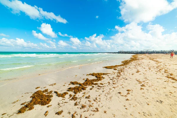 Bílý Písek Tyrkysová Voda Světoznámé Miami Beach Usa — Stock fotografie
