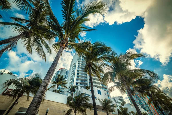 Felhőkarcolók Pálmafák Felhős Alatt Naplementekor Miami Beach Amerikai Egyesült Államok — Stock Fotó