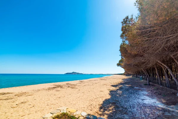 Clear Sky Orrosas Stranden Sardinien Italien — Stockfoto