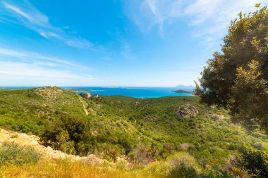 Akdeniz çalılığı ve mavi deniz. Sardunya, İtalya