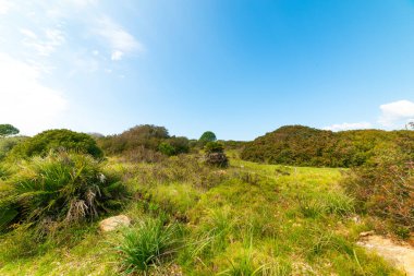 Sardinya, İtalya 'da mavi gökyüzünün altında yeşil alan