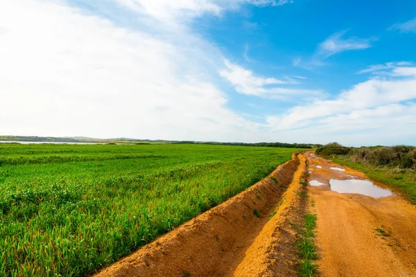 Furrow in orange soil in a green field under a blue sky. Sardinia, Italy