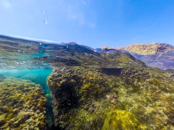 Rozdzielony Podwodny Widok Skały Wybrzeżu Alghero Sardynia Włochy — Zdjęcie stockowe