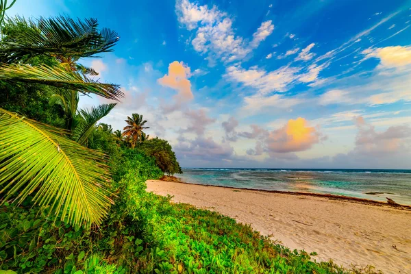 Кольоровий Захід Сонця Буа Джолан Пляжі Гваделупі Французьких Західних Індій — стокове фото