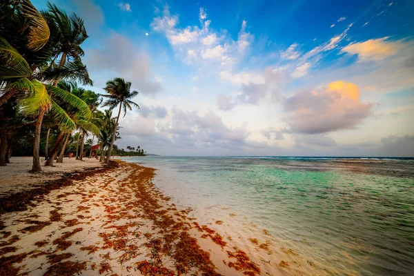日落时在瓜德罗普岛的Bois Jolan海滩 法国西部印第安人 小安的列斯群岛 加勒比海 — 图库照片