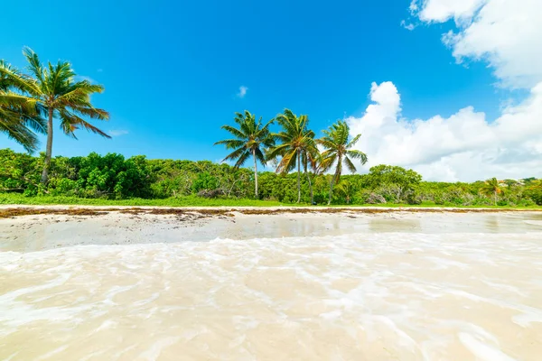 Kék Saline Strand Felett Guadeloupe Ban Francia Nyugat Indiában Kisebb — Stock Fotó