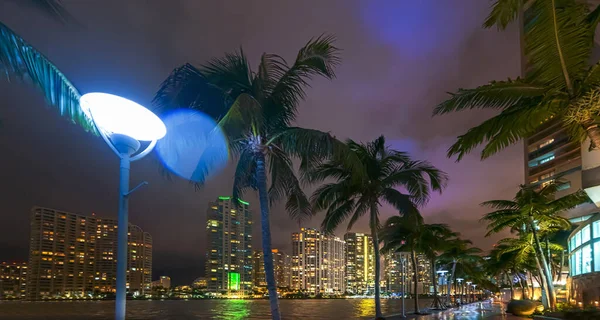 Geceleri Miami Palmiye Ağaçları Gökdelenler Florida Abd — Stok fotoğraf