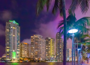 Geceleri Riverwalk Miami 'de gökdelenler ve palmiye ağaçları. Florida, ABD