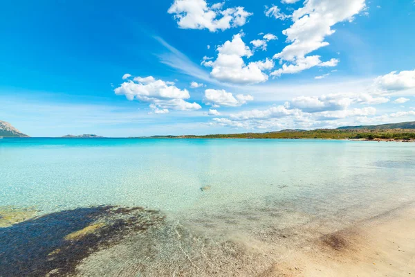 Kristálytiszta Víz Porto Istana Strandján Szardínia Olaszország — Stock Fotó