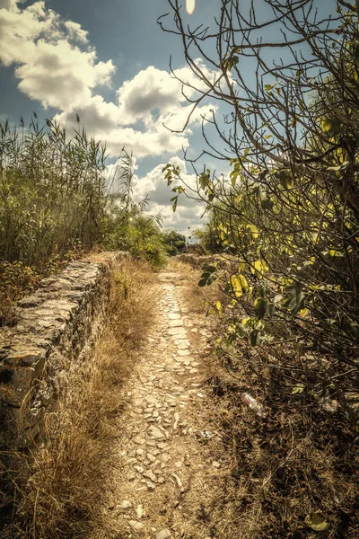 Ścieżka Brudu Lagunie Calik Latem Sardynia Włochy — Zdjęcie stockowe