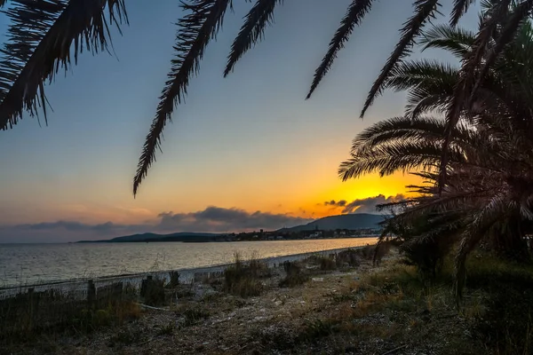 Palme Meer Strand Von Maria Pia Bei Sonnenuntergang Sardinien Italien — Stockfoto