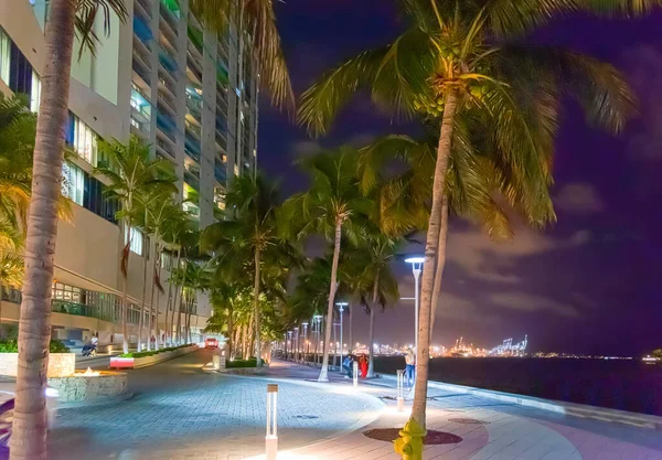 Noite Colorida Miami Riverwalk Florida Eua — Fotografia de Stock