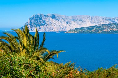 Deniz kenarındaki yeşil bitkilerin arkasında Tavolara adası var. Sardunya, İtalya
