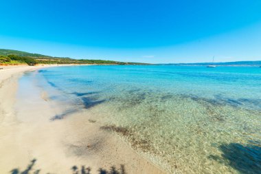 Sardunya, Alghero 'da renkli kıyılar