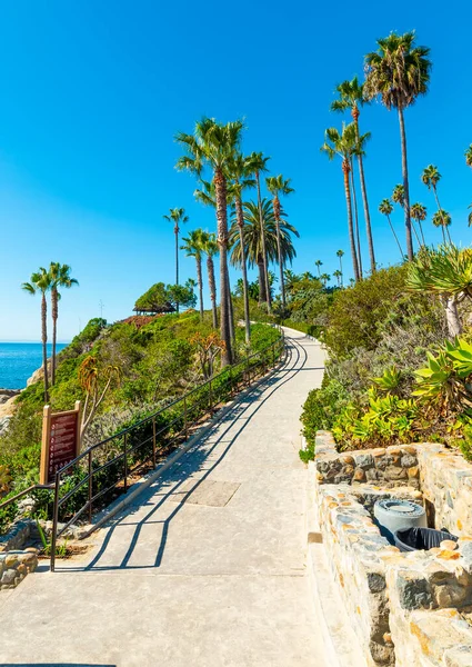 在拉古纳海滨的海边走着小路和棕榈树 美国加利福尼亚 — 图库照片
