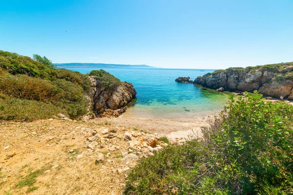 Liten Vik Klar Himmel Alghero Strand Sardinien Italien — Stockfoto