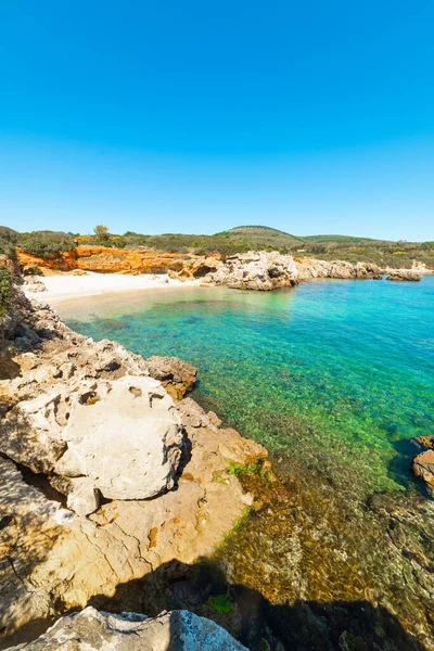 Agua Clara Rocas Orilla Alghero Cerdeña Italia — Foto de Stock