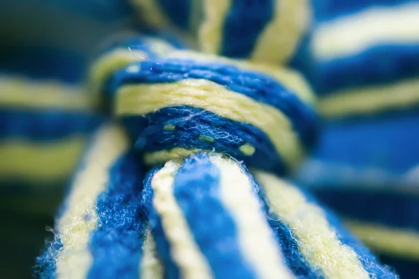 Extreme Close Yellow Blue Shoelace Knot — Stock Photo, Image