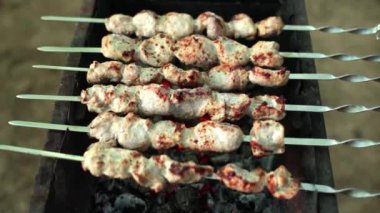 Şiş kebap şiş