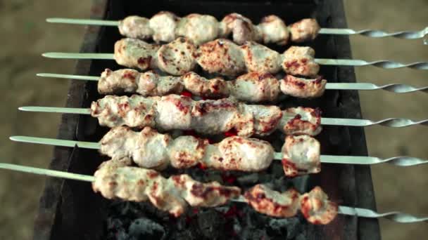 Shish kebab on skewers — Stock Video