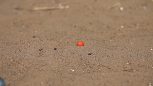 Spiel mit Boule-Kugeln — Stockvideo