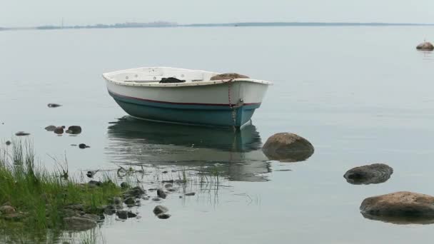 Boat near the shore seascape — Stock Video