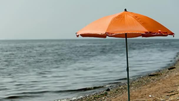Beach umbrella on an empty beach — Stock Video