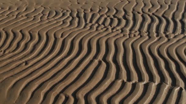 Abstract sand pattern — Stock Video