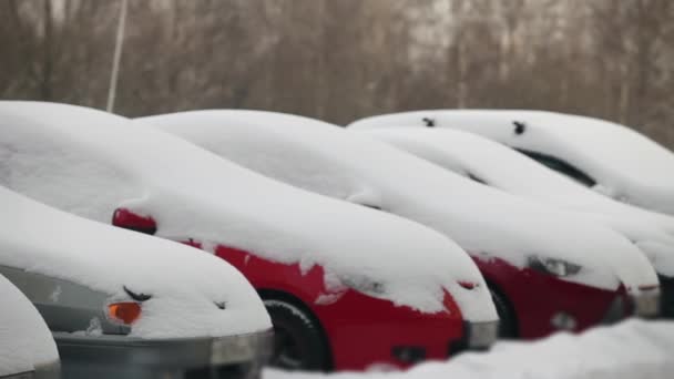 被雪覆盖的车 — 图库视频影像