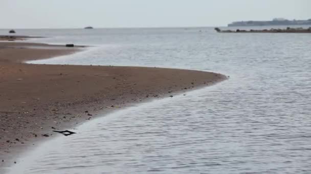 Lege strand in de herfst — Stockvideo