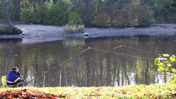 Pêcheur poissons avec téléphone — Video