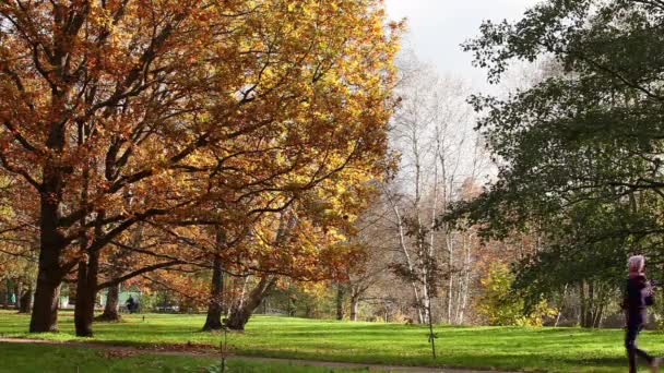 Kocogás az utat egy park — Stock videók