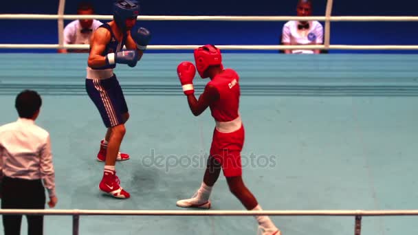 Tempo de Boxe Lapso — Vídeo de Stock