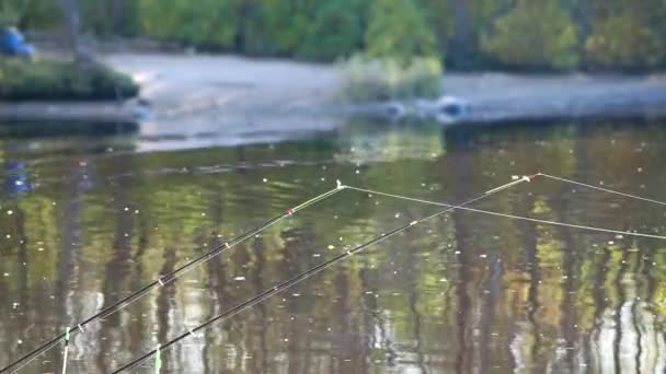 Canne à pêche sur un fond de rivière d'automne — Video