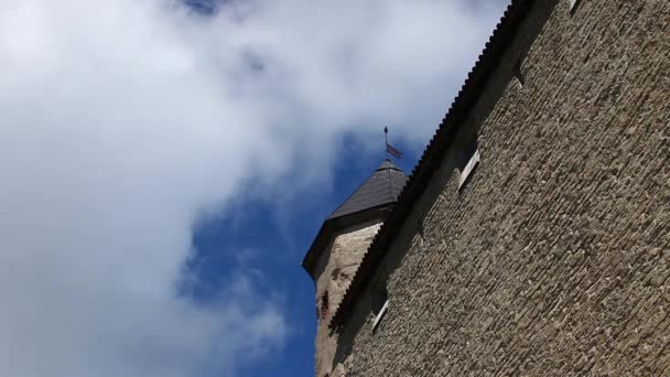 Fahne auf dem Turm — Stockvideo