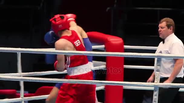 Boxerský zápas blízko sekvence — Stock video